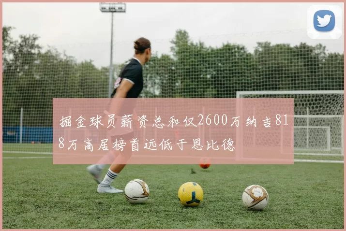 掘金球员薪资总和仅2600万纳吉818万高居榜首远低于恩比德
