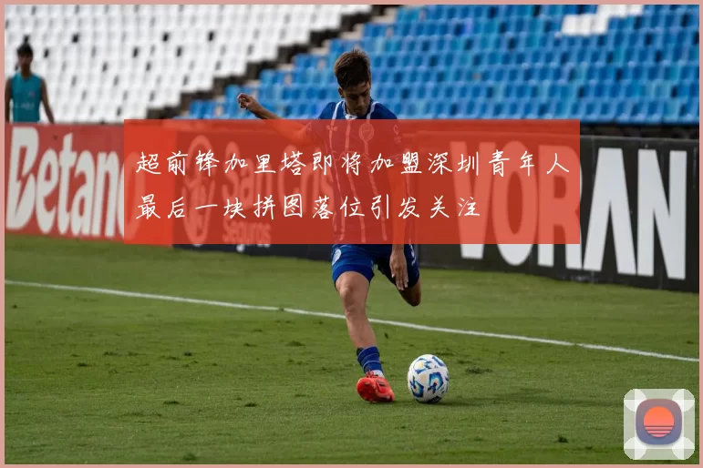 超前锋加里塔即将加盟深圳青年人最后一块拼图落位引发关注