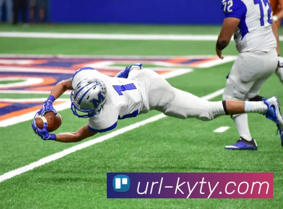 开云体育APP 封面图